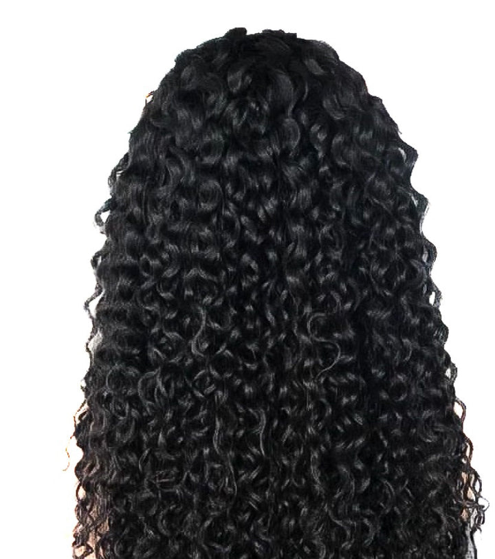 SEA Deep Curly Lace Front Wig - rauhhair